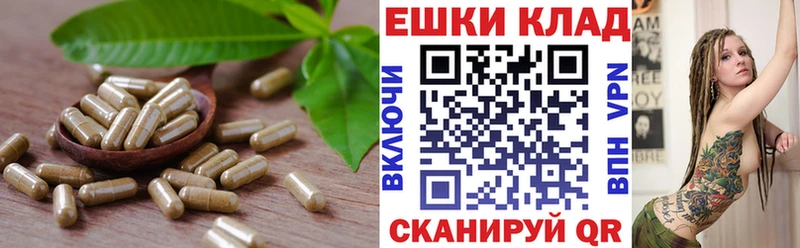 OMG ССЫЛКА  Поронайск  Ecstasy диски 