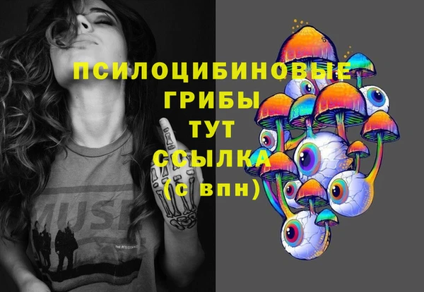 дурь Алзамай