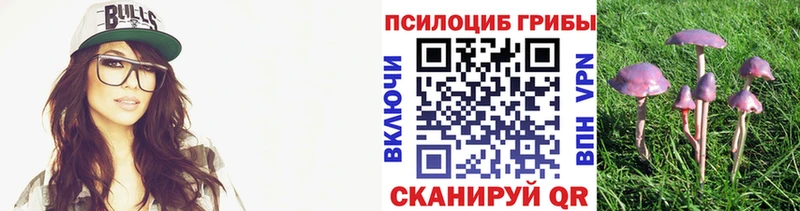 Псилоцибиновые грибы MAGIC MUSHROOMS  Поронайск 